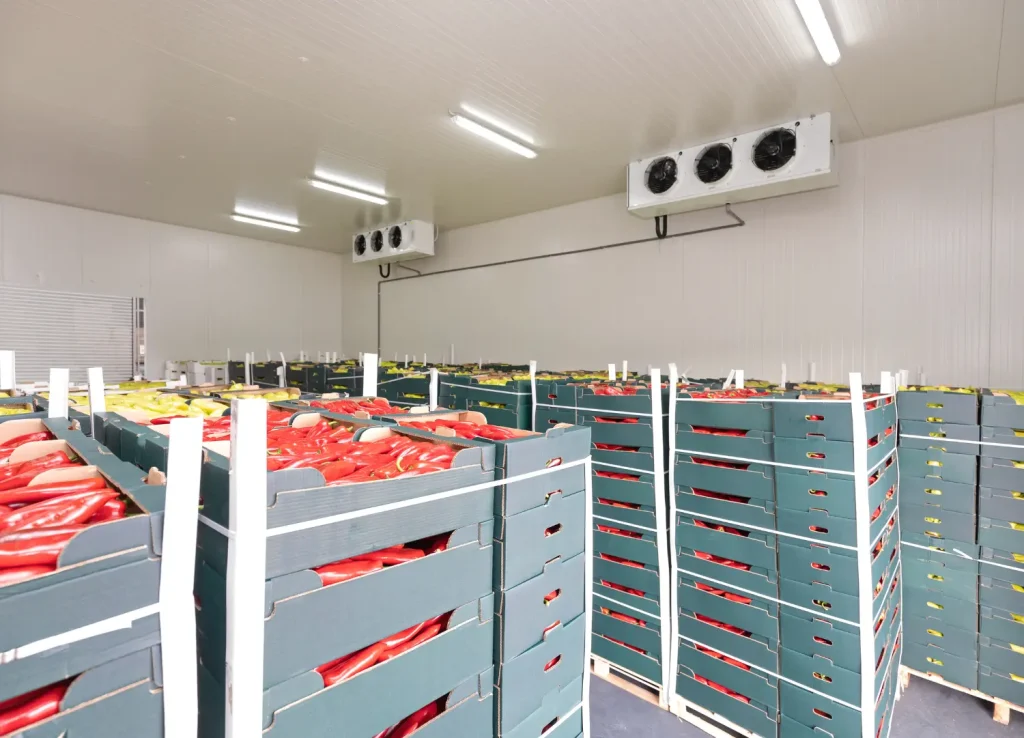 Paneles Solares para refrigeración industrial en empresas con procesos de congelación
